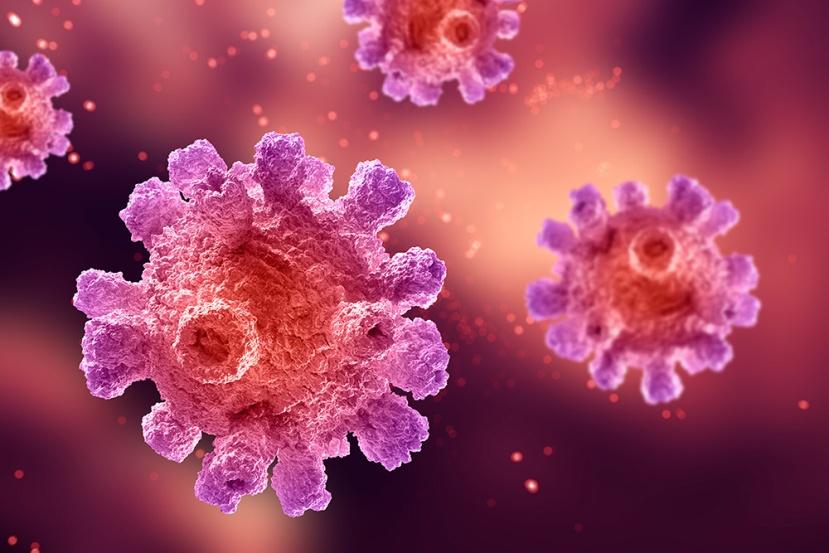 Вірус папіломи людини (ВПЛ, HPV)